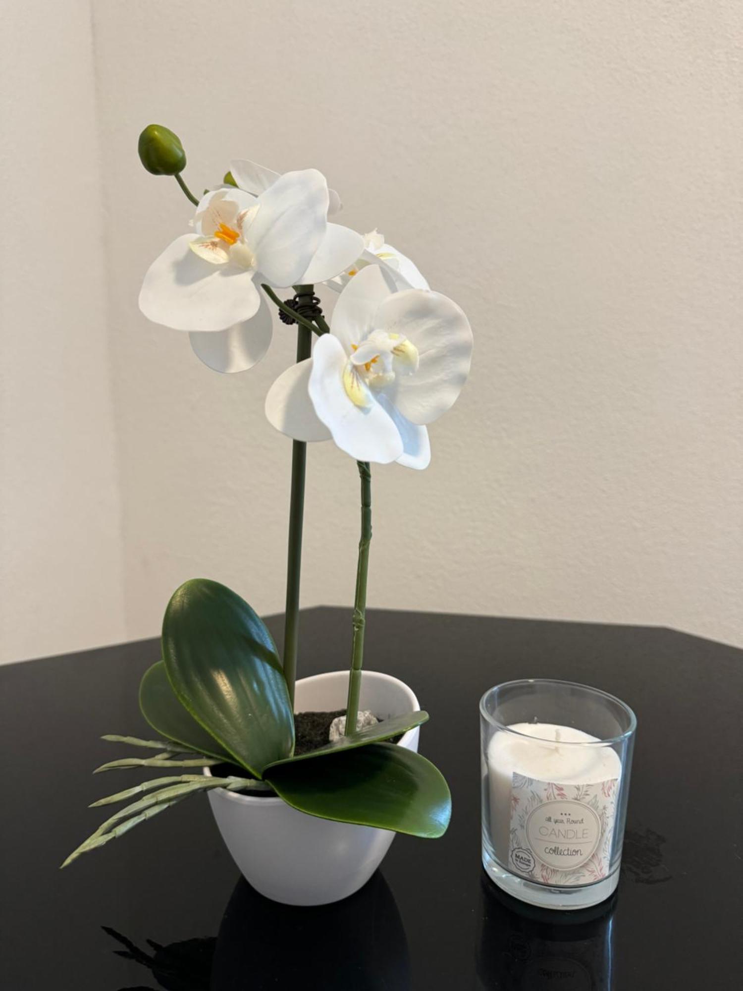 City Ferien Wohnungen 3 Rosenheim Ngoại thất bức ảnh